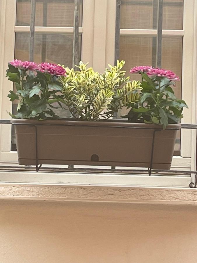 Cuor Di Mantova B&B Ngoại thất bức ảnh